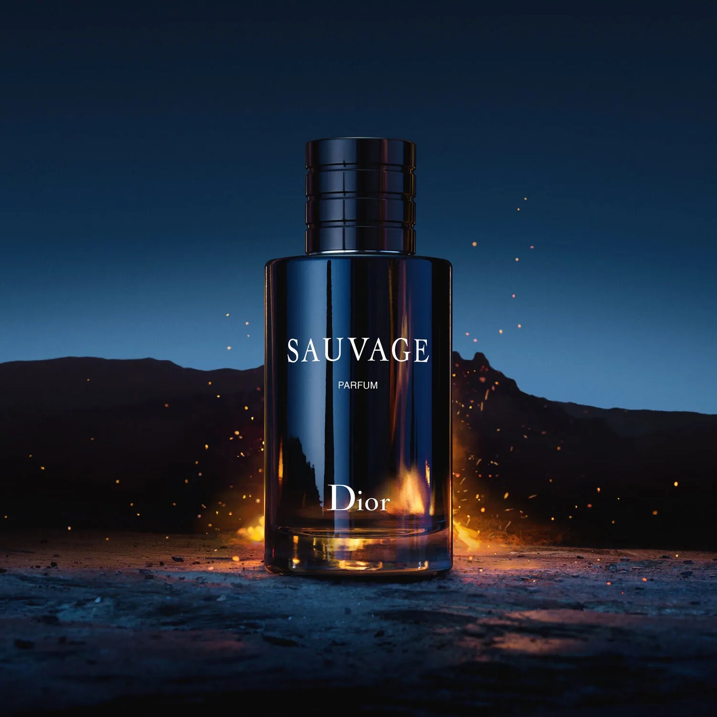 DUO SAUVAGE DIOR + ONE MILLION + OBSEQUIO 🎁
